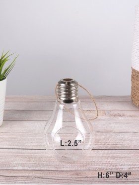 Light Bulb Micro Landscape Glass Vase
